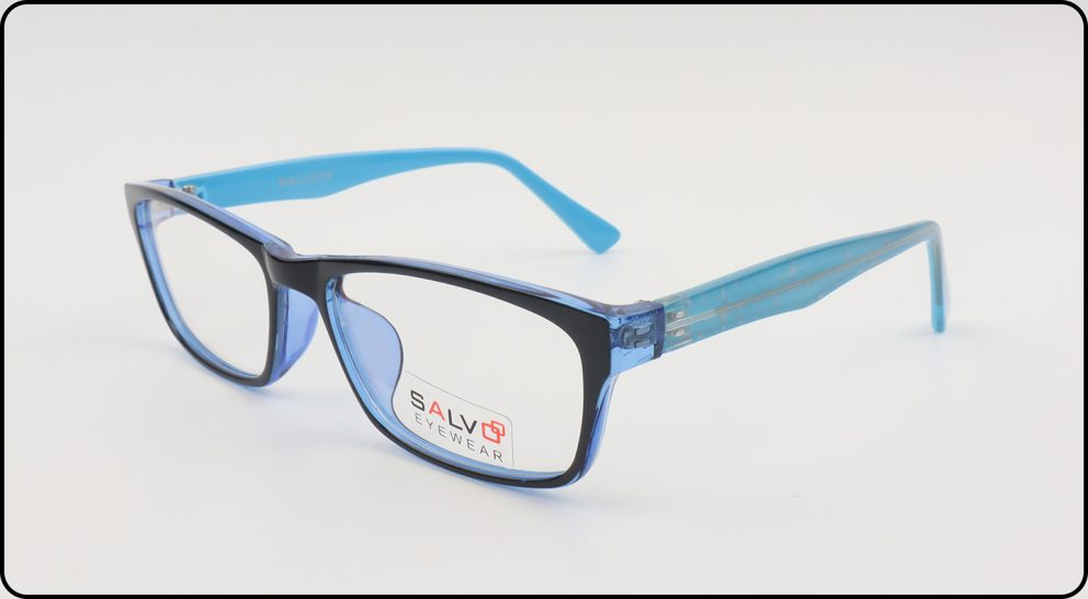 510017 DLPS SALVO