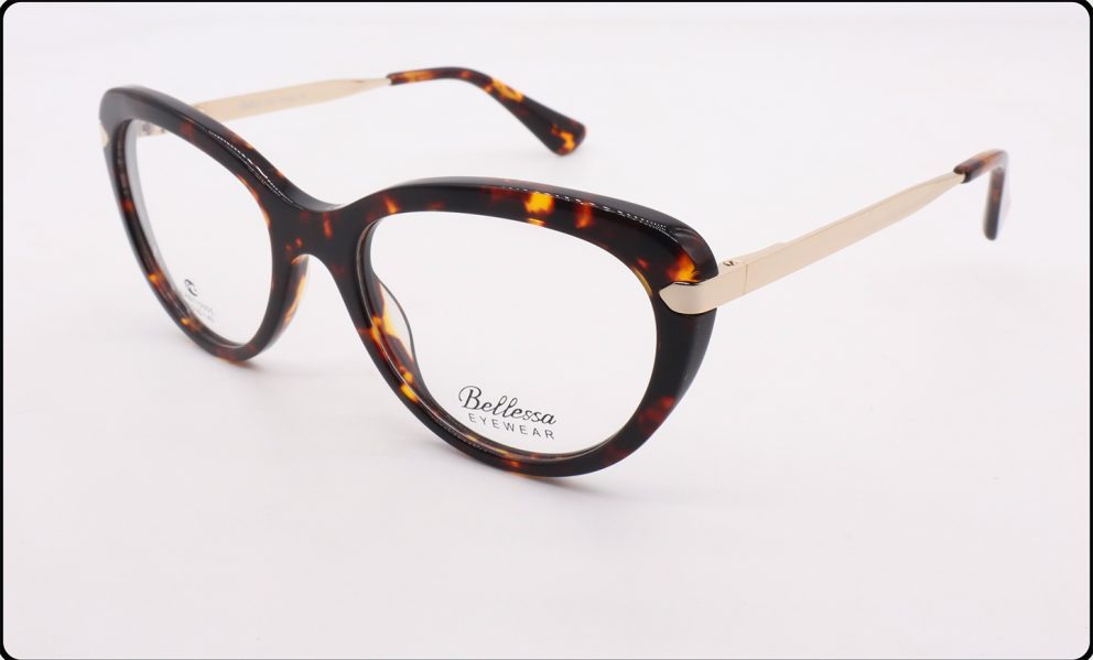 110005 JLAB Bellessa