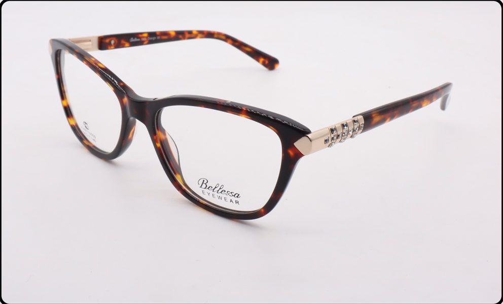 110009 JLAB Bellessa