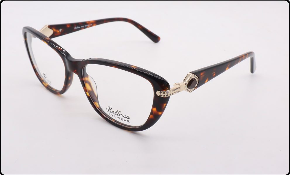 110010 JLAB Bellessa