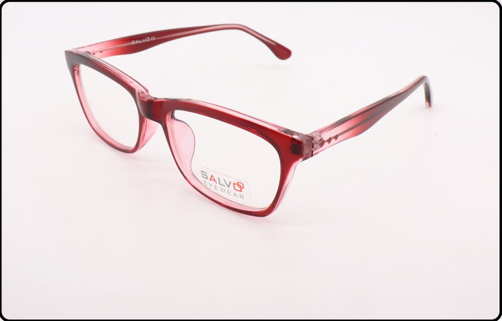 510081 DLPS SALVO