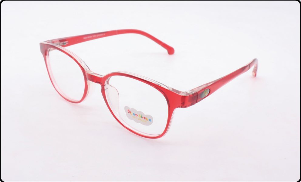 610005 ZFTB Nano bimbo