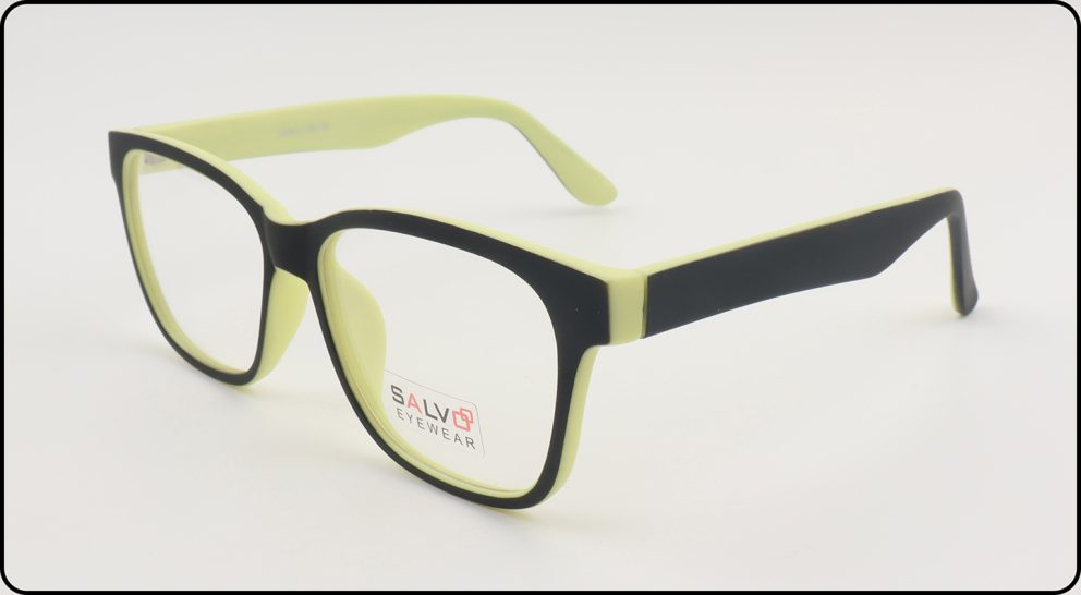 510285 DLPS SALVO
