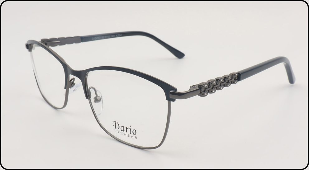 310453 Dario