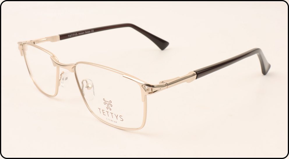 260029 Tettys