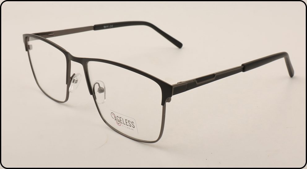 55095 Ageless